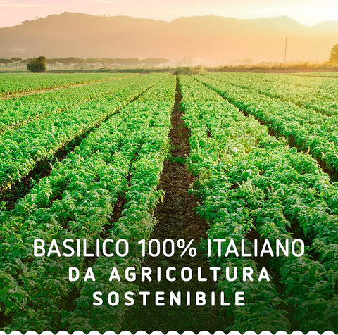 Barilla Pesto Basilico e Limone Basilic et Citron 190g