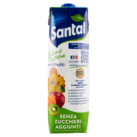 12x Parmalat Santal Succo di Frutta Multifrutti Dolce di Natura Zero Jus de Fruits Multifruits Zéro sucre ajouté